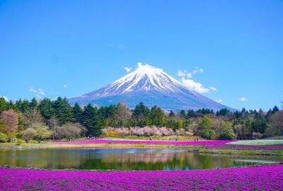 De opkomst van Japanse whisky: Waarom Japanse whisky zo populair geworden is
