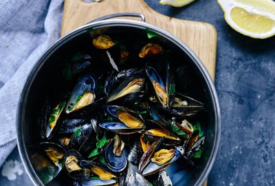 Welke wijn bij mosselen? Een frisse gids voor perfecte combinaties