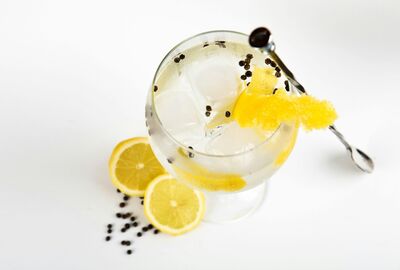 Meet the 10 favourite gins of 2024