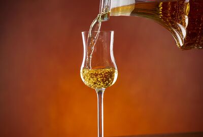 Grappa Startersgids