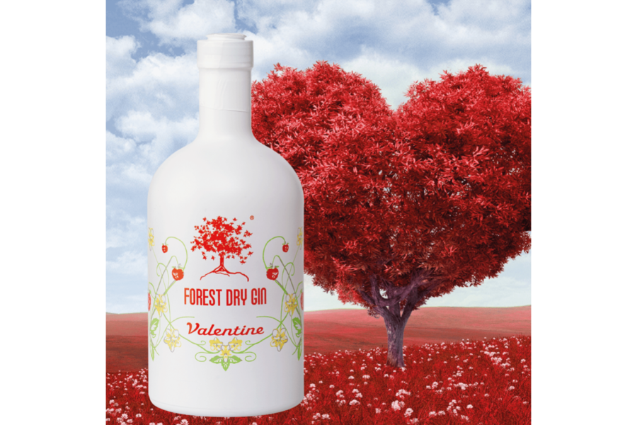Plus de 100 idées de Saint-Valentin roses pour la surprendre