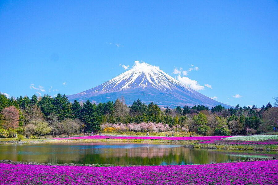 The rise of Japanese whisky: Why Japanese whisky has become so popular