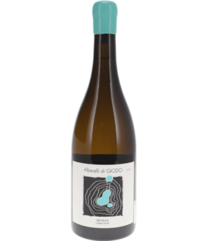 Alberelli Di Giodo Bianco 2021
