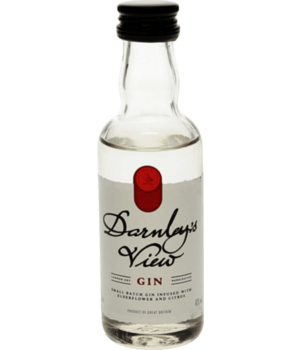 Darnley's Gin Mini