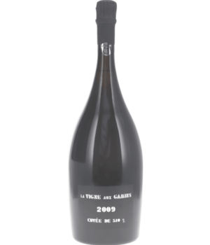 Thienot La Vigne Aux Gamins 2009 Magnum (1,5l)