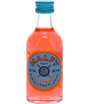 Malfy Gin Con Arancia Mini