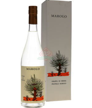 Marolo Freisa