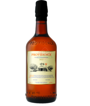 Providence 3y 2022 Incl. Doos