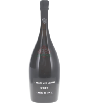 Thienot La Vigne Aux Gamins 2009 Magnum (1,5l)
