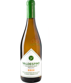 Valdespino Los Arcos 2022