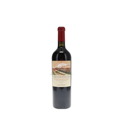 Catena Zapata Adrianna Vineyard Mundus Bacillus Terrae Malbec 2015