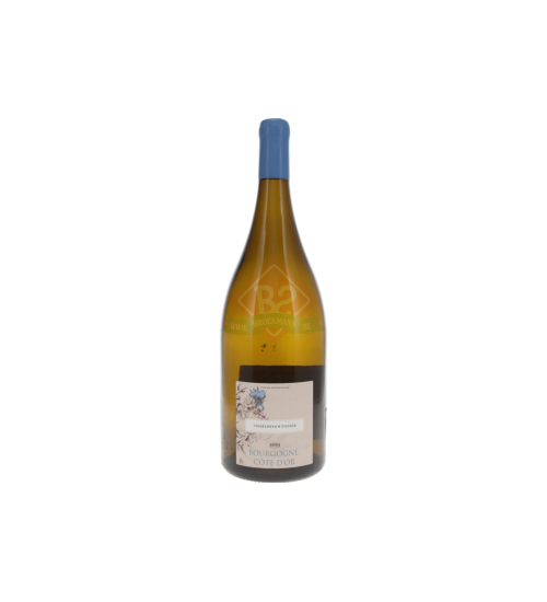 Domaine Charlopin Tissier Bourgogne Cote D'Or 2019 Wit Magnum (1,5l)