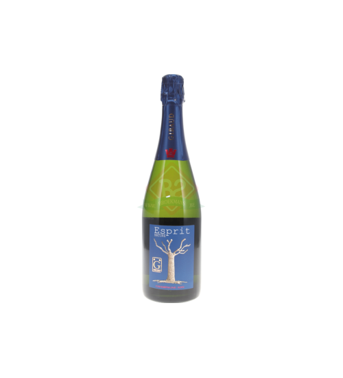 Henri Giraud Esprit Nature Brut (80% Pinot Noir, 20% Chardonnay)