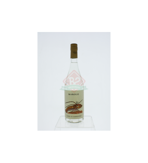 Marolo Vermentino