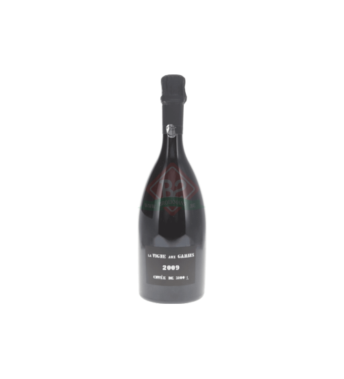 Thienot La Vigne Aux Gamins 2009