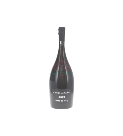 Thienot La Vigne Aux Gamins 2009 Magnum (1,5l)