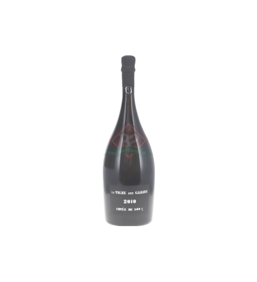 Thienot La Vigne Aux Gamins 2010 Magnum (1,5l)