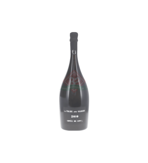 Thienot La Vigne Aux Gamins 2010 Magnum (1,5l)
