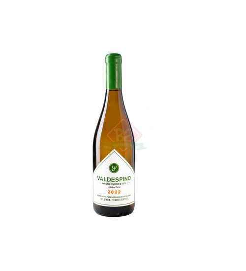Valdespino Los Arcos 2022